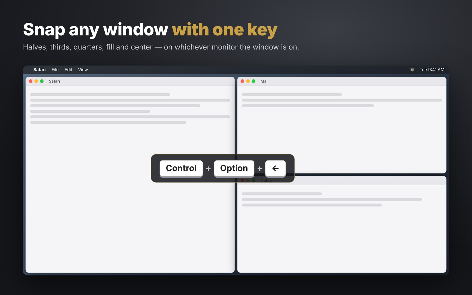 Snapping Safari to the left half with Control + Option + Left Arrow